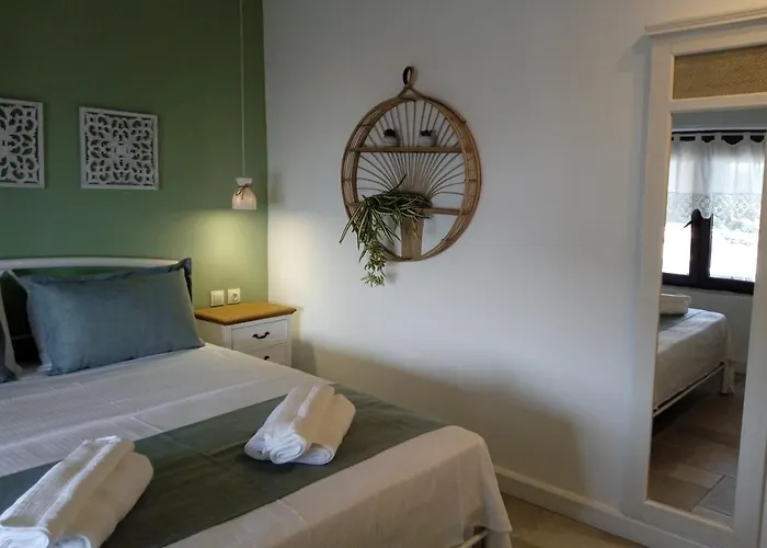 Irene Traditional Aparthotel Amolianí